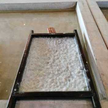 Poo Paper Production
