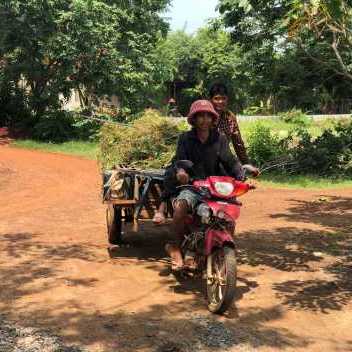 Transportation of Green Waste